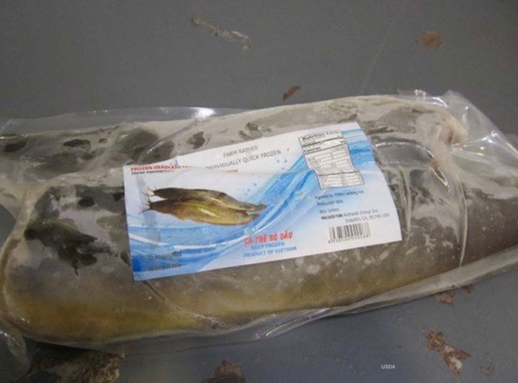 Maxfield Seafood Recalls Siluriformes For No Inspection