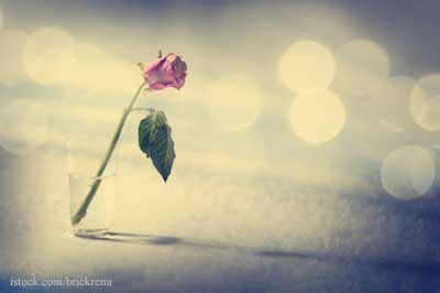 Sorrow