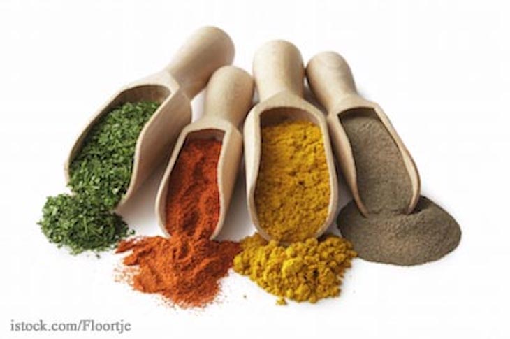 FDA Seized Spices at Lyden Spice Corp. in Florida for Insanitary Conditions