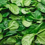 Can Spinach Be Contaminated With Pathogens At Germination?