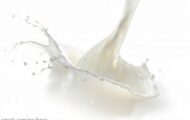 Byers Organic Dairy Raw Milk Contaminated With E. coli