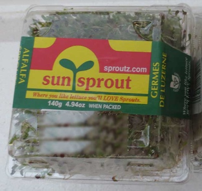 Sun-Sprout