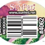 Sunfed Cucumbers Recalled For Salmonella, Linked to Illness