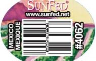 Sunfed Cucumbers Recalled For Salmonella, Linked to Illness