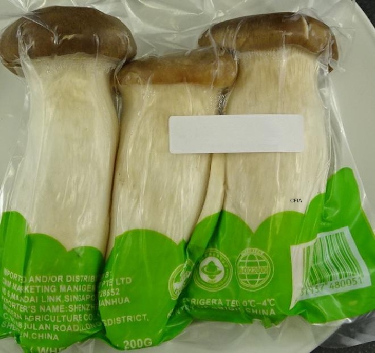 TWA Fungi King Oyster Mushroom Recalled For Possible Listeria