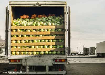 Truck-with-Cabbages