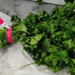 Trudeau Farms Curly Parsley Recalled For Possible Salmonella