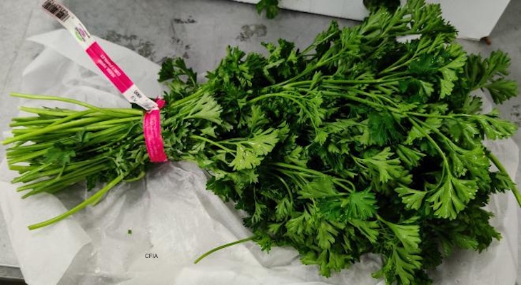 Trudeau Farms Curly Parsley Recalled For Possible Salmonella