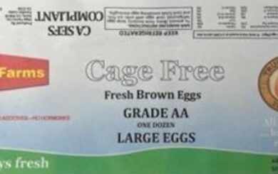 Vega Farms Eggs Salmonella Outbreak Sickens 63 in California