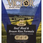 Victor Beef Meal & Rice Dog Food Recalled For Salmonella