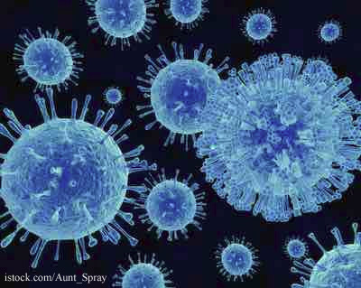 Virus