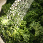 Ultrasonic Cleaning Could Reduce Leafy Greens Outbreaks