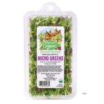 Wegmans Organic Microgreens Recalled For Possible Salmonella