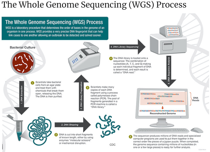 FDA Assesses Whole Genome Sequencing Effectiveness