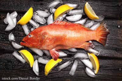 Whole Grouper