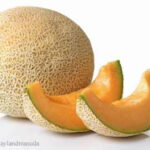 ALDI Cantaloupe and Pineapple Recalled For Possible Salmonella