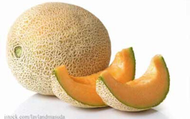 FDA Updates Deadly Salmonella Sundsvall Cantaloupe Outbreak