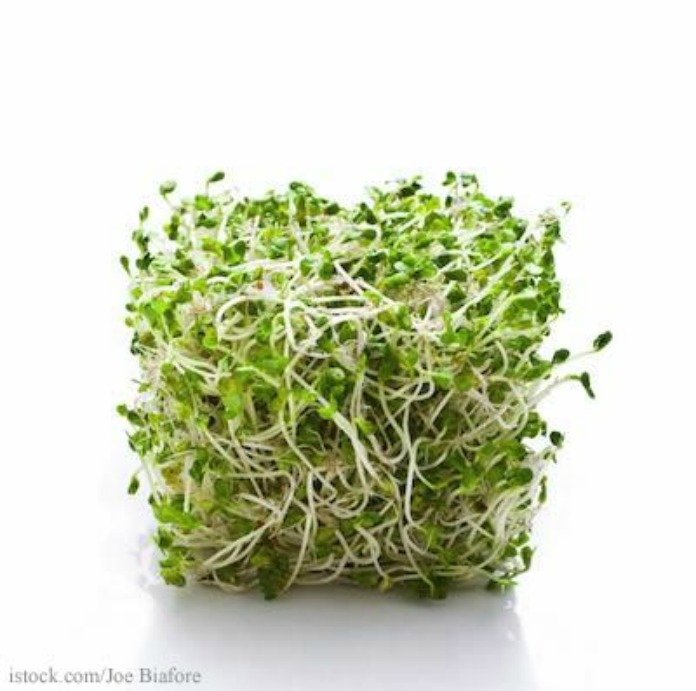 Alfalfa Sprouts Archives Food Poisoning Bulletin