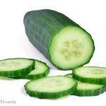 Cucumber Salmonella