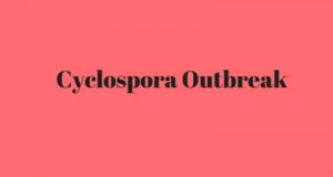 cyclospora-outbreak-384