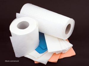 Paper towel