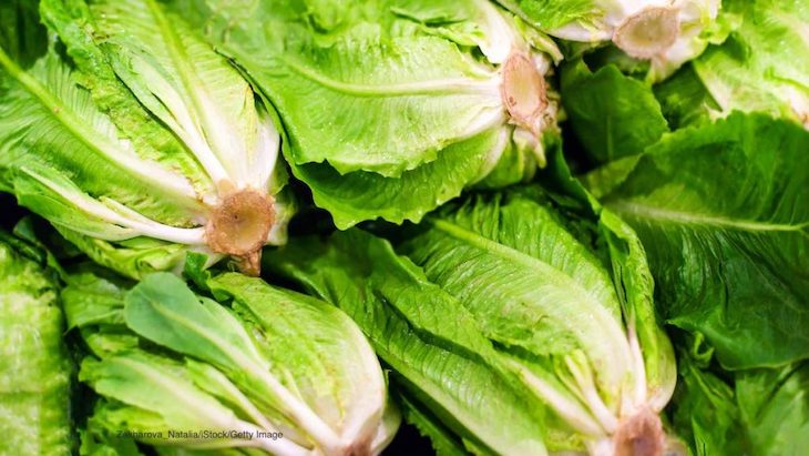 Canada E. coli Romaine Lettuce Update - Import Restrictions are Working