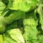 G.O. Lettuces Recalled For Possible Deer Feces Contamination