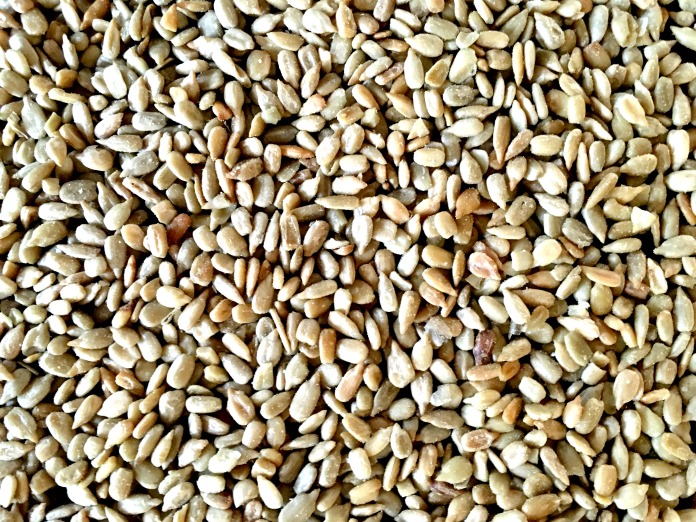 sunflower seeds -2